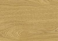 Пробковый пол Corkstyle Wood XL Glue Oak Deluxe